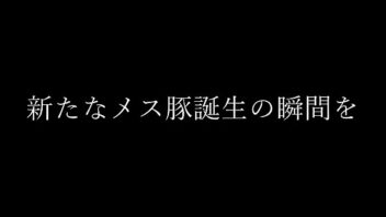 戦隊 セックス